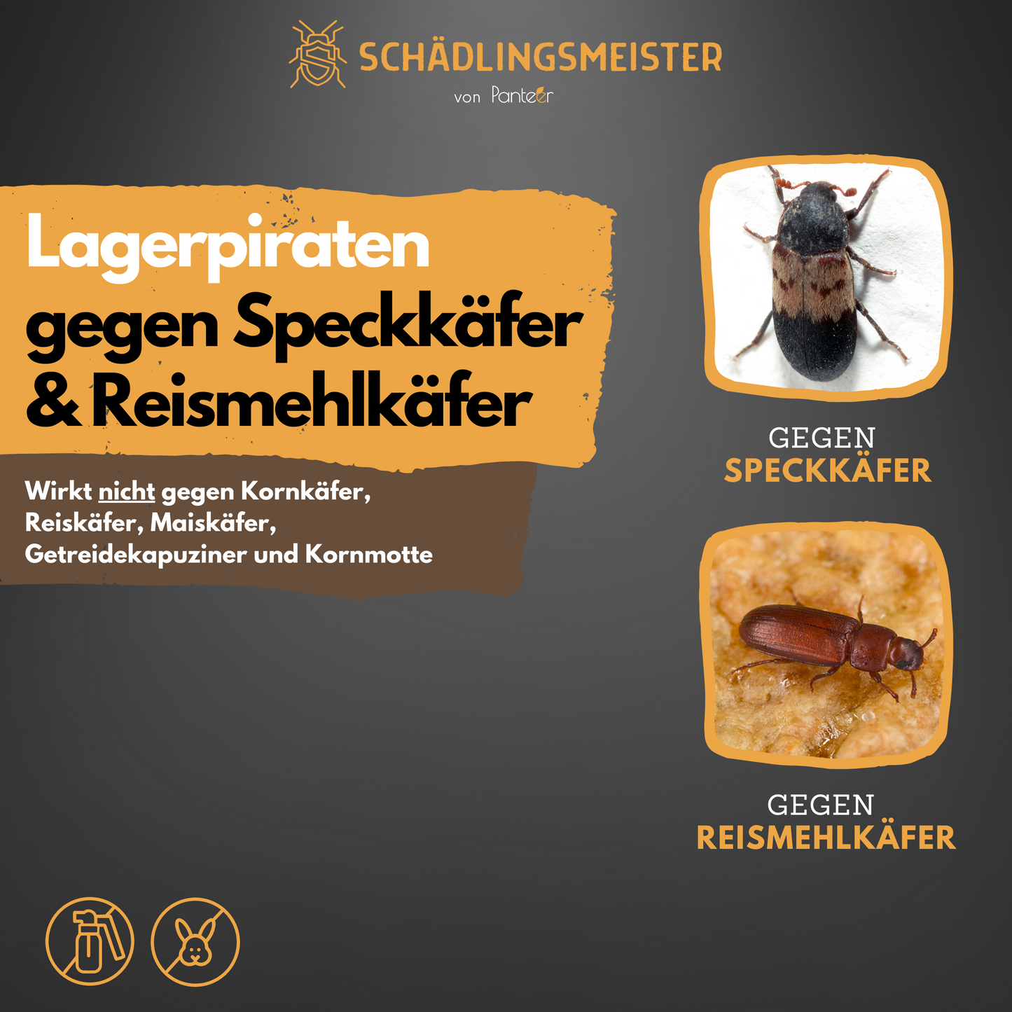 Lagerpiraten gegen Speckkäfer und Reismehlkäfer